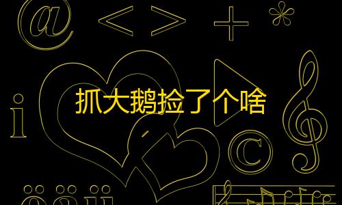 地铁逃生直装卡网抓大鹅捡了个啥